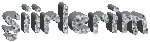 �iirlerim